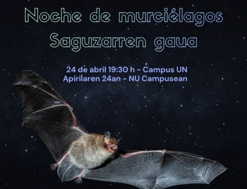 La noche de los murciélagos: ciencia, naturaleza y sorpresa al atardecer