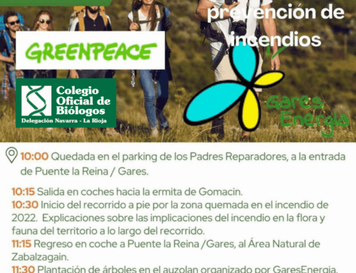 Reforestar con inteligencia: el papel clave de la Biología en la prevención de incendios